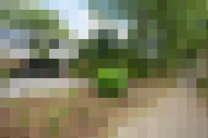 Laan van de Eekharst 19 Emmen thumbnail 39