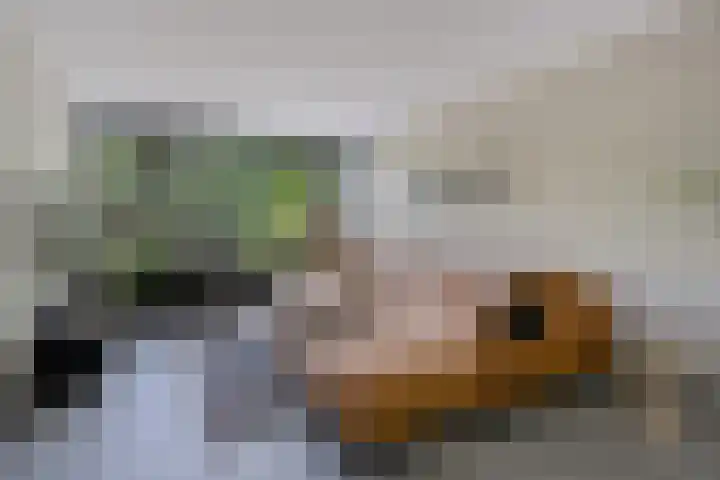 Laan van de Eekharst 19 Emmen thumbnail 5