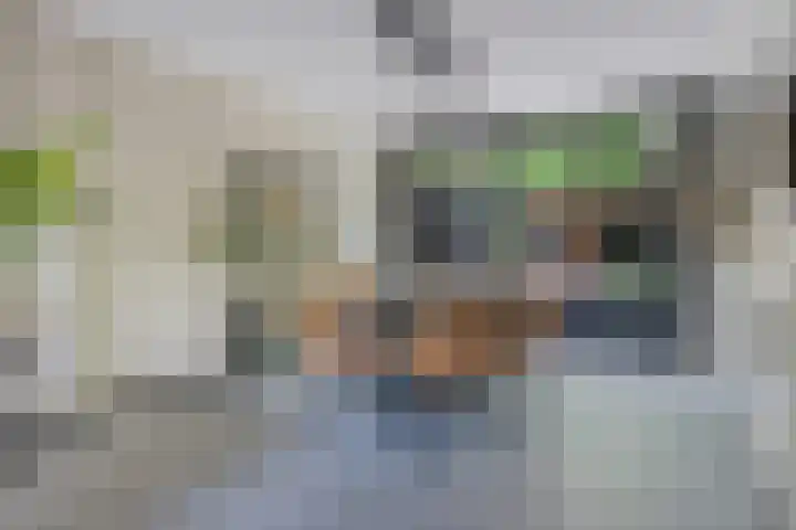 Laan van de Eekharst 19 Emmen thumbnail 8