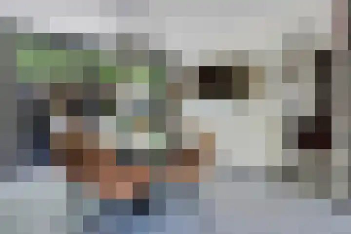 Laan van de Eekharst 19 Emmen thumbnail 9