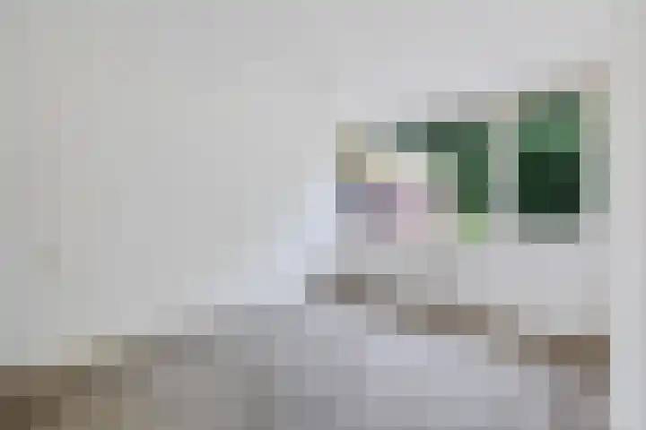 Laan van de Eekharst 37 Emmen thumbnail 17