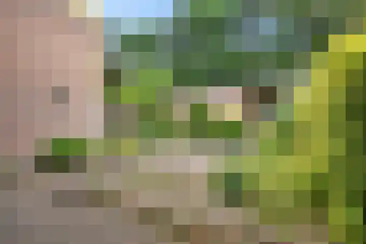 Laan van de Eekharst 37 Emmen thumbnail 20