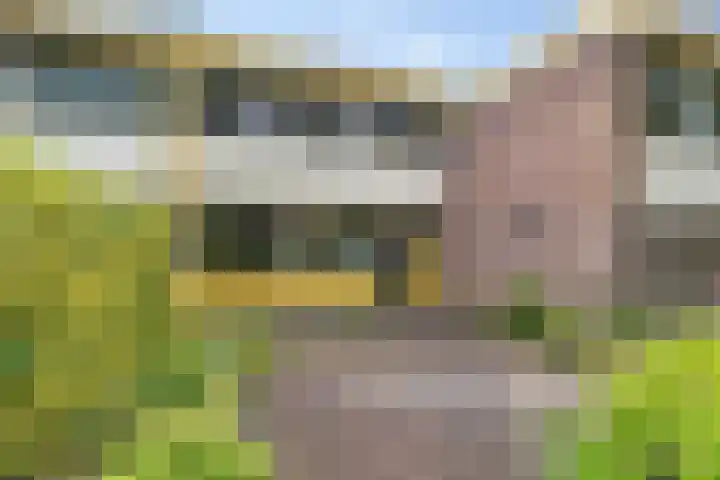 Laan van de Eekharst 37 Emmen thumbnail 21