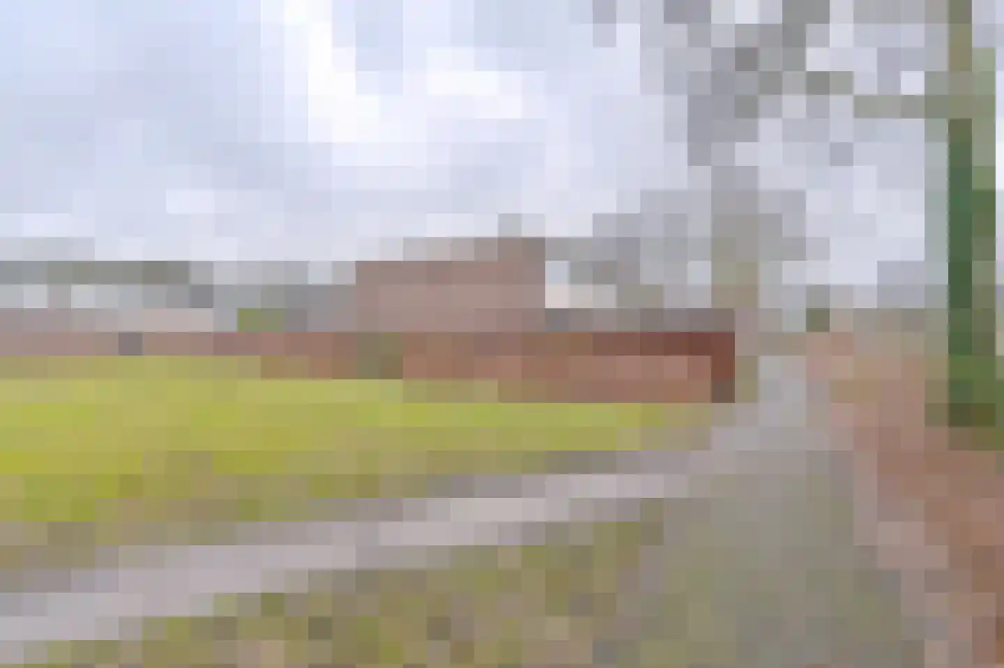 Laan van de Eekharst 449 Emmen thumbnail 11