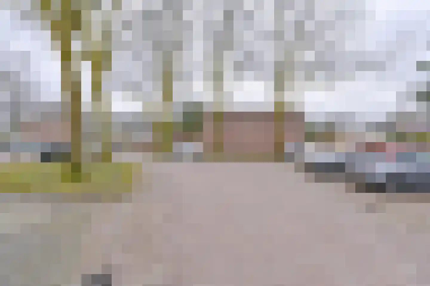 Laan van de Eekharst 449 Emmen thumbnail 6