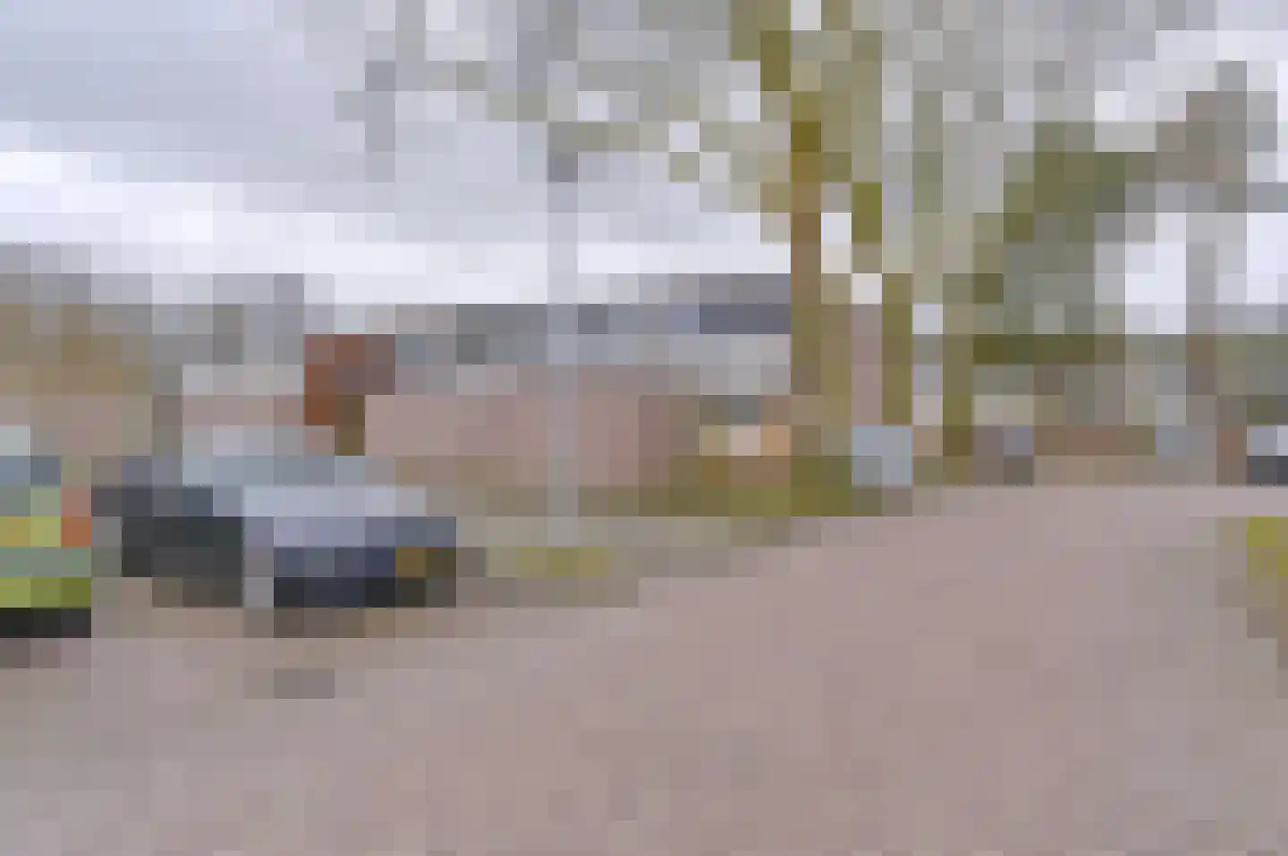 Laan van de Eekharst 449 Emmen thumbnail 8