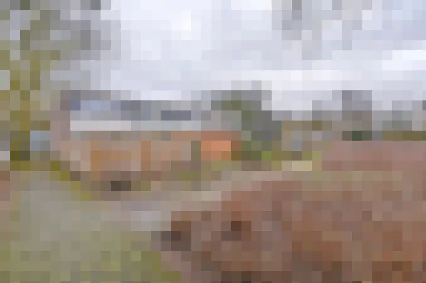 Laan van de Eekharst 449 Emmen thumbnail 9