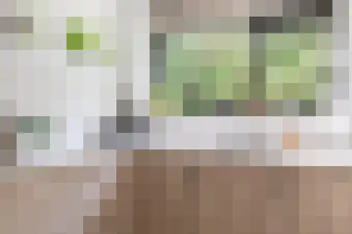 Laan van de Eekharst 6 Emmen thumbnail 14