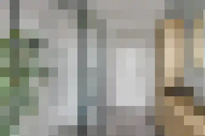 Laan van de Eekharst 6 Emmen thumbnail 24