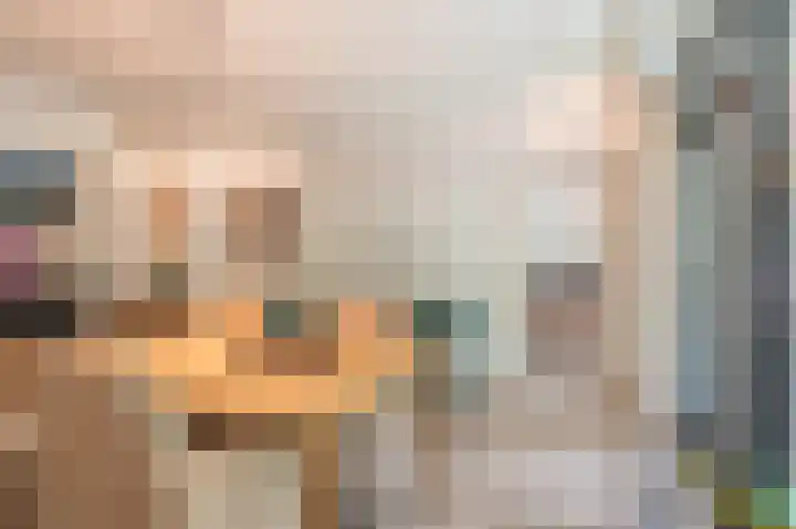 Laan van de Eekharst 6 Emmen thumbnail 25