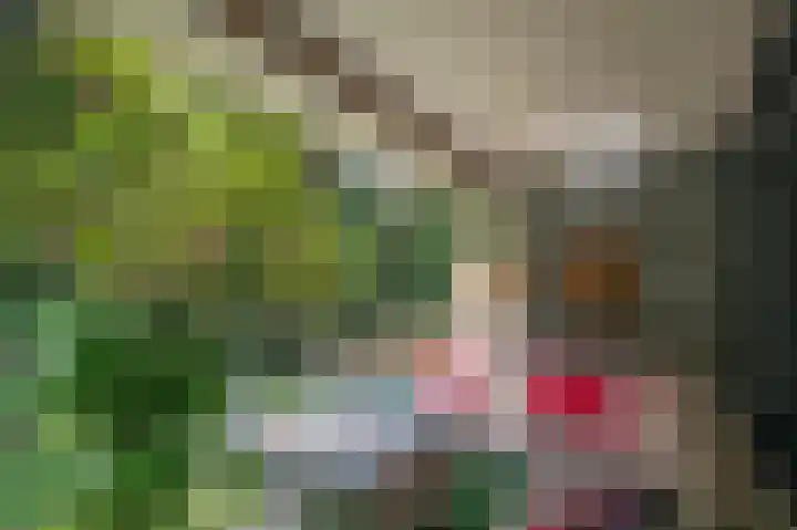 Laan van de Eekharst 6 Emmen thumbnail 26