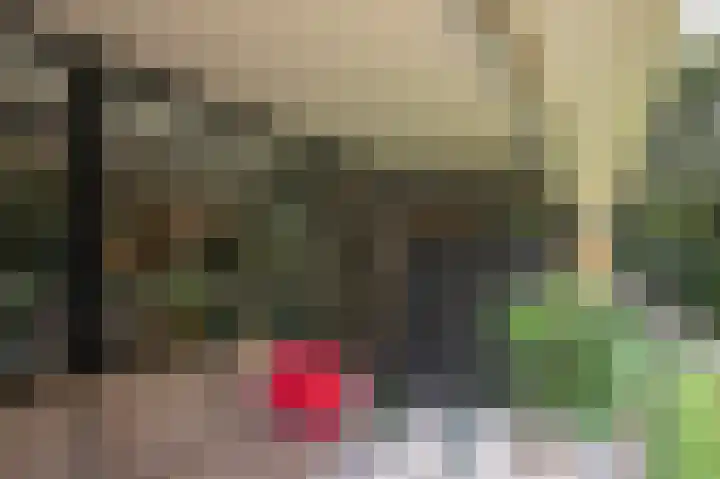 Laan van de Eekharst 6 Emmen thumbnail 28