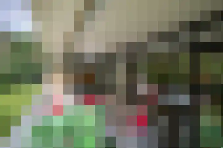 Laan van de Eekharst 6 Emmen thumbnail 29