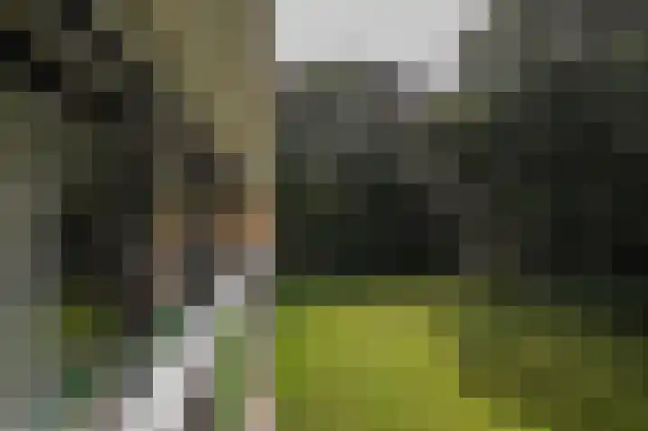 Laan van de Eekharst 6 Emmen thumbnail 30