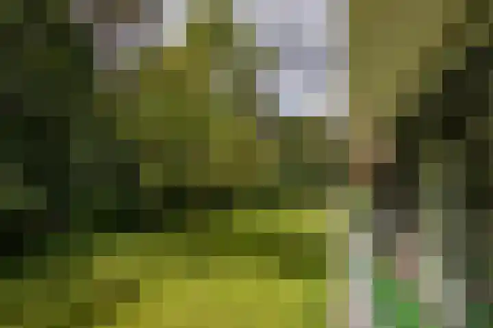 Laan van de Eekharst 6 Emmen thumbnail 31