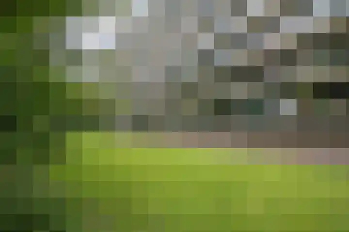 Laan van de Eekharst 6 Emmen thumbnail 35