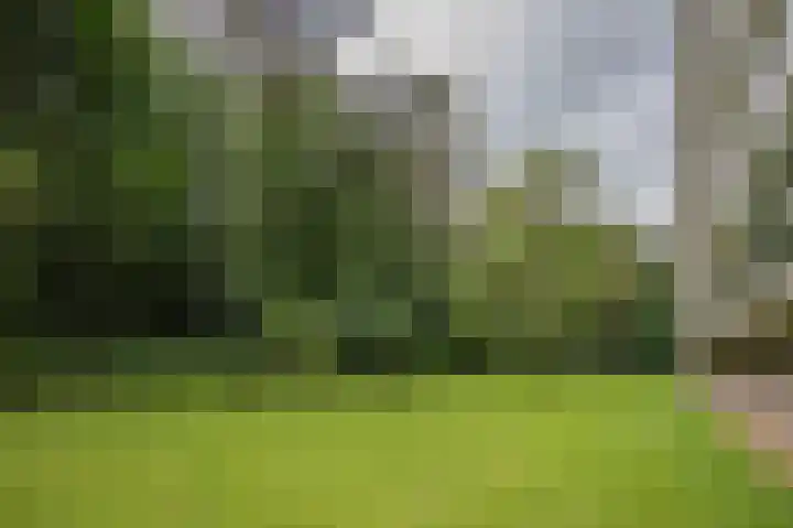 Laan van de Eekharst 6 Emmen thumbnail 36