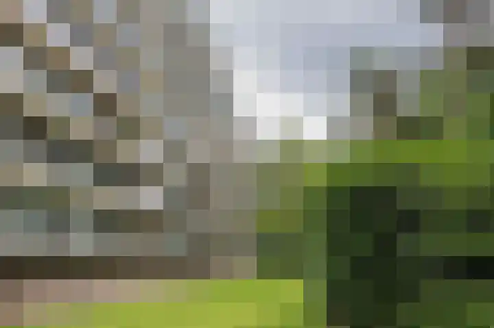 Laan van de Eekharst 6 Emmen thumbnail 37