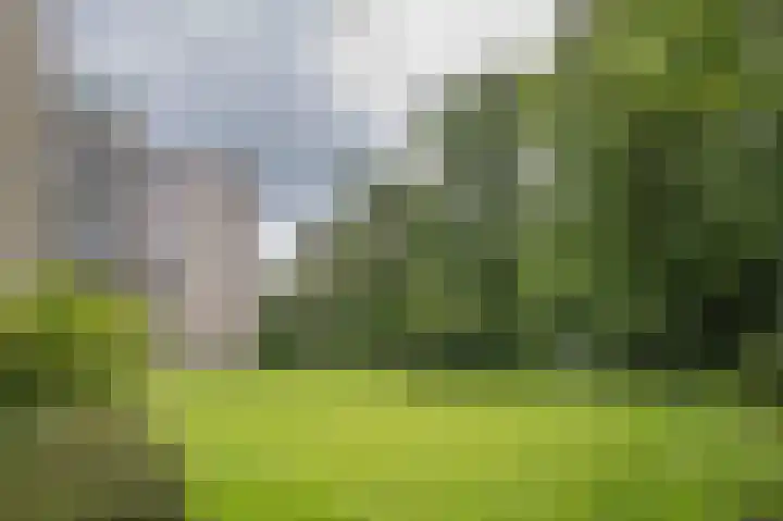 Laan van de Eekharst 6 Emmen thumbnail 38