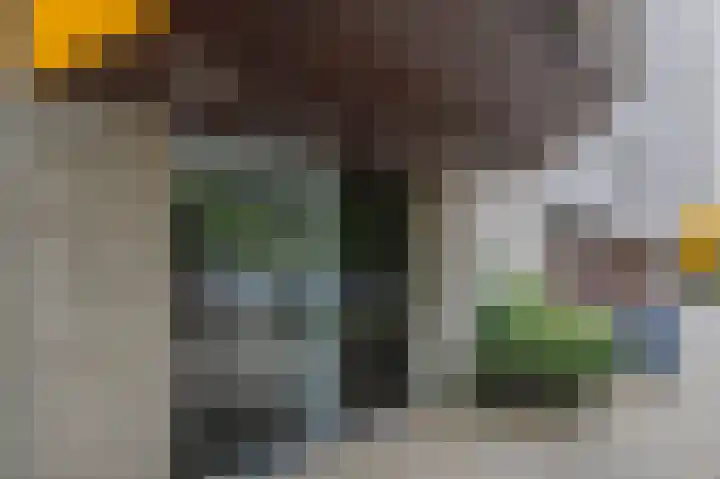 Laan van de Eekharst 6 Emmen thumbnail 40