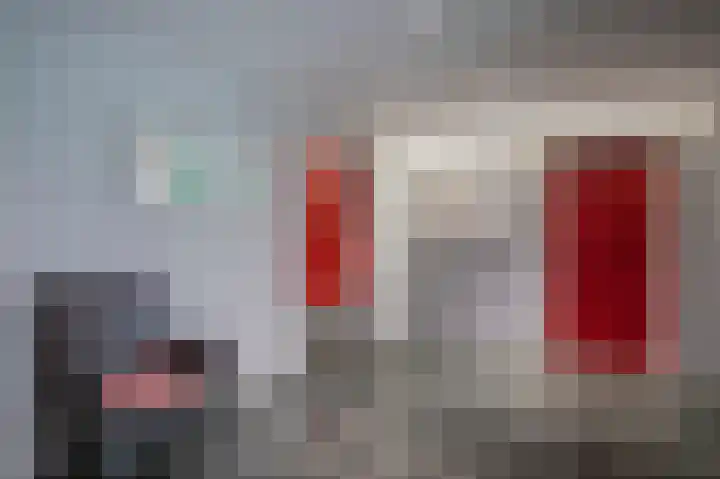 Laan van de Eekharst 6 Emmen thumbnail 42