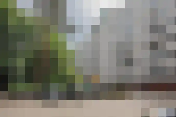 Laan van de Eekharst 6 Emmen thumbnail 45
