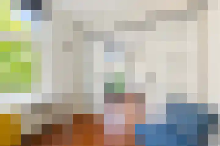Laan van de Eekharst 6 Emmen thumbnail 47