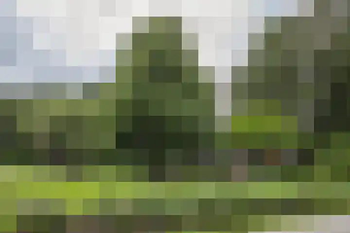 Laan van de Eekharst 6 Emmen thumbnail 47