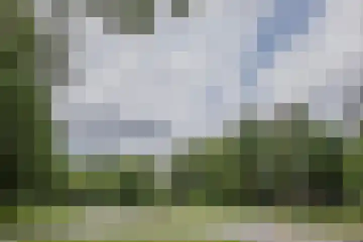 Laan van de Eekharst 6 Emmen thumbnail 48
