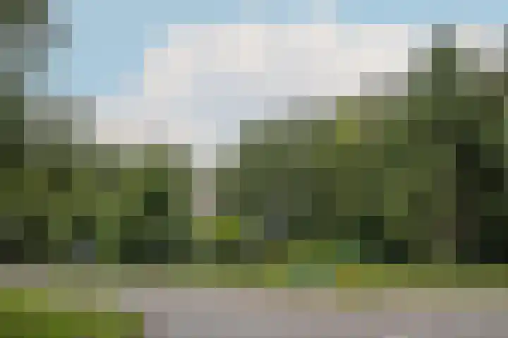 Laan van de Eekharst 6 Emmen thumbnail 49