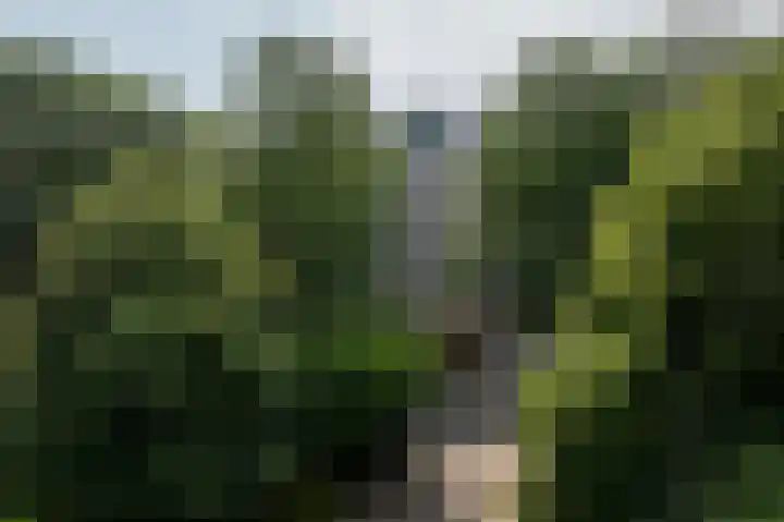 Laan van de Eekharst 6 Emmen thumbnail 51