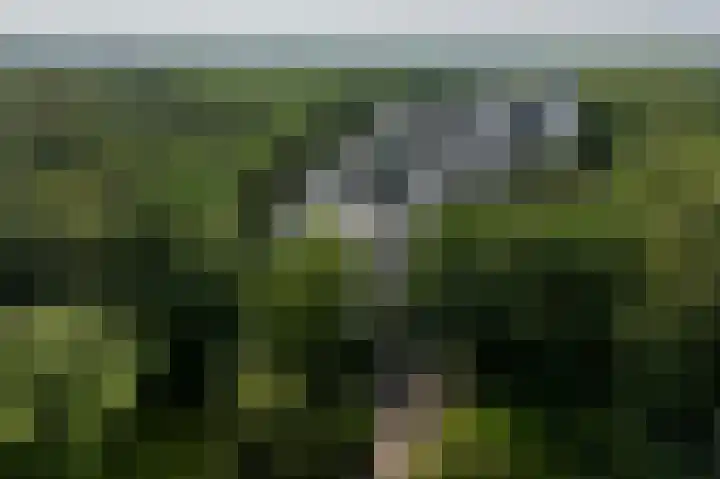 Laan van de Eekharst 6 Emmen thumbnail 52