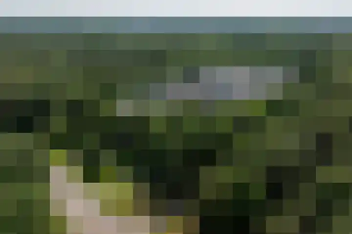 Laan van de Eekharst 6 Emmen thumbnail 53