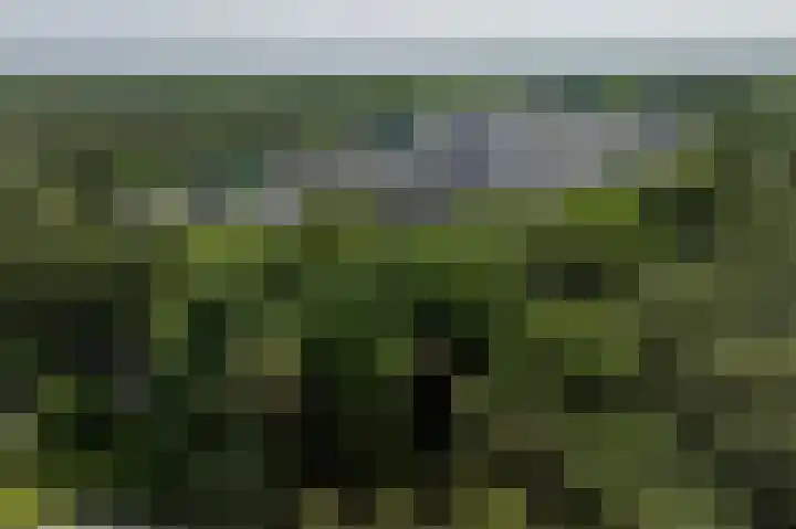 Laan van de Eekharst 6 Emmen thumbnail 54