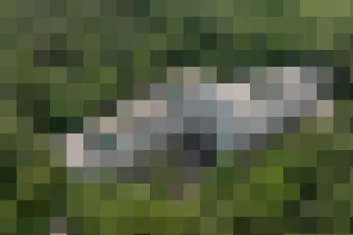 Laan van de Eekharst 6 Emmen thumbnail 56
