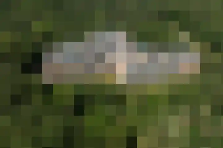 Laan van de Eekharst 6 Emmen thumbnail 57