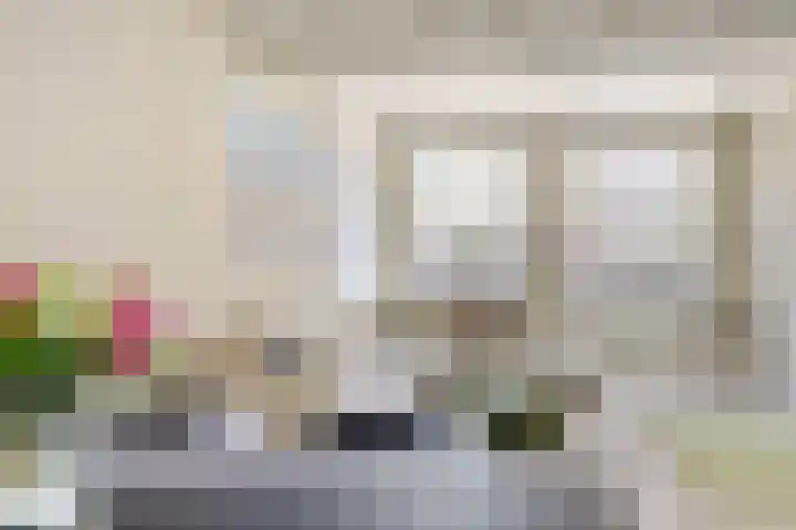 Laan van de Eekharst 6 Emmen thumbnail 58