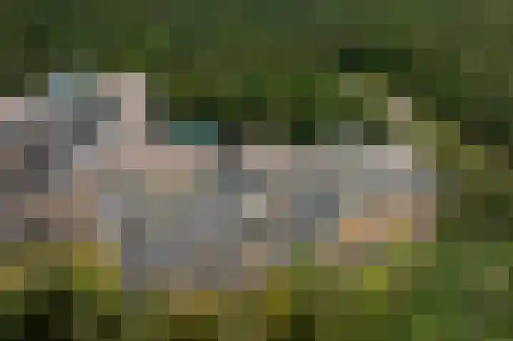 Laan van de Eekharst 6 Emmen thumbnail 59