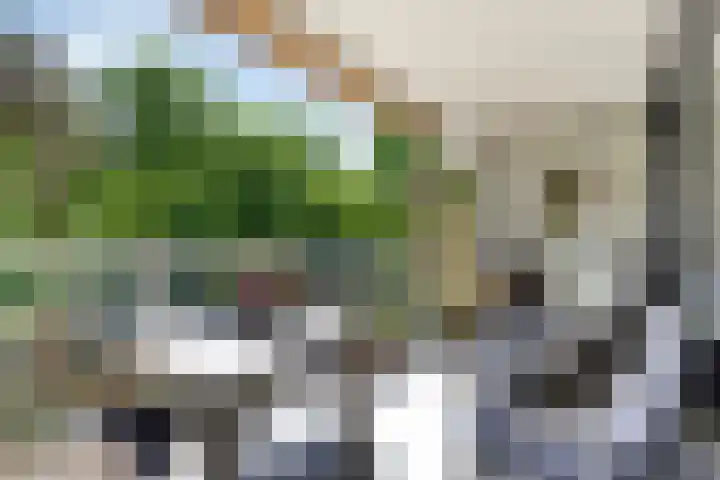 Laan van de Eekharst 84 Emmen thumbnail 22