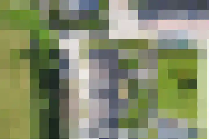 Laan van de Eekharst 84 Emmen thumbnail 27