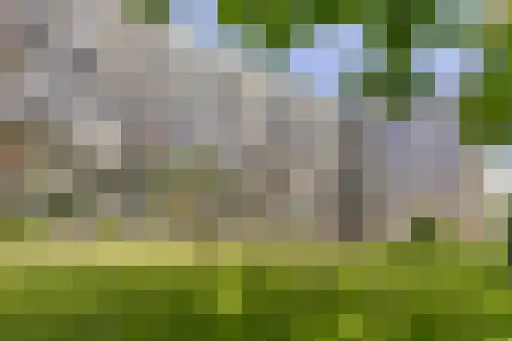 Laan van de Eekharst 84 Emmen thumbnail 34