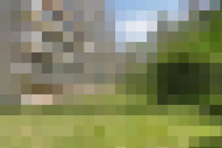 Laan van de Eekharst 84 Emmen thumbnail 36
