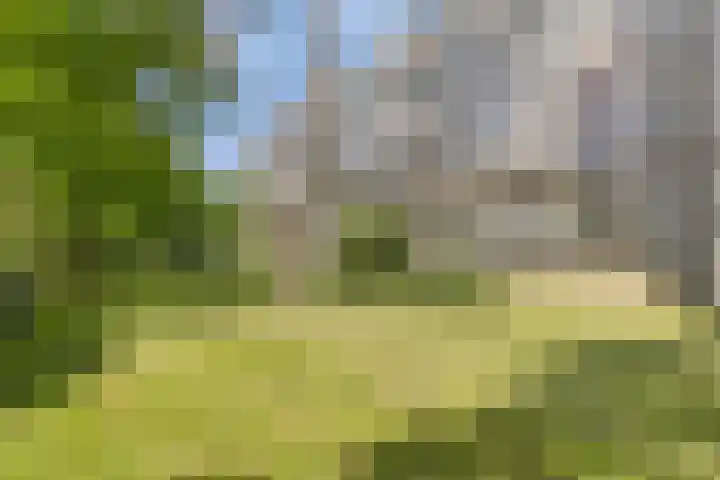Laan van de Eekharst 84 Emmen thumbnail 37