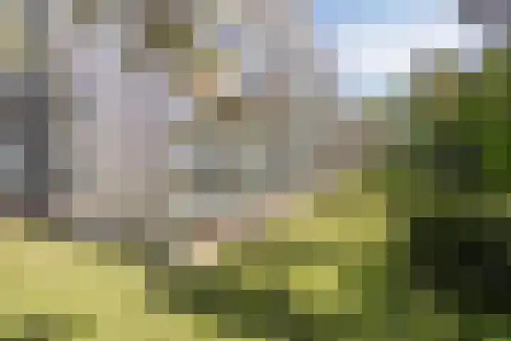 Laan van de Eekharst 84 Emmen thumbnail 38