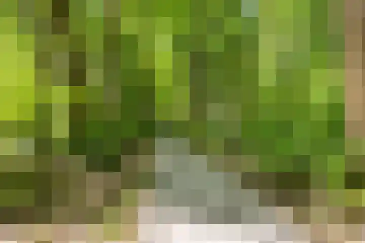 Laan van de Eekharst 84 Emmen thumbnail 40