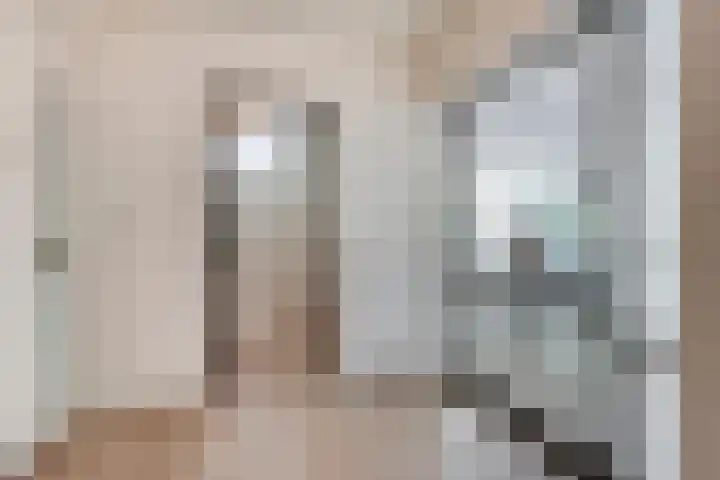 Laan van de Eekharst 84 Emmen thumbnail 6