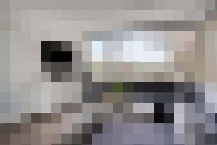 Laan van de Marel 152 Emmen thumbnail 10