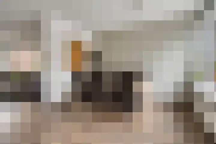 Laan van de Marel 152 Emmen thumbnail 13