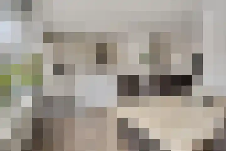 Laan van de Marel 152 Emmen thumbnail 14
