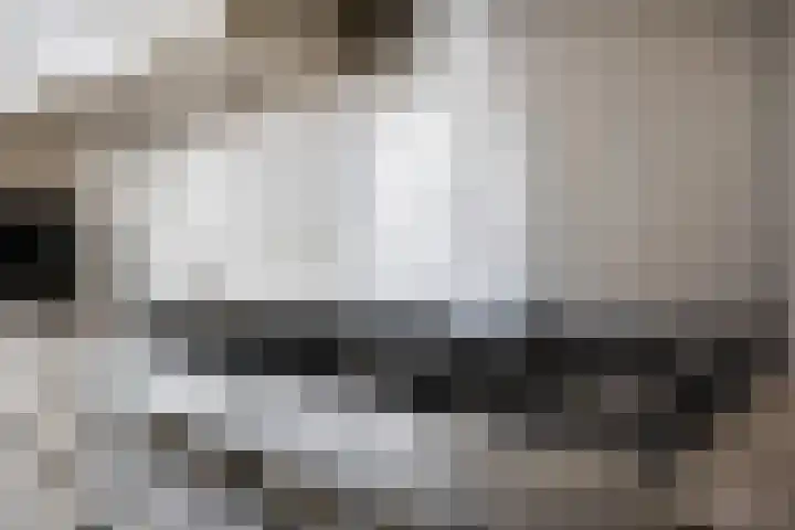 Laan van de Marel 152 Emmen thumbnail 18